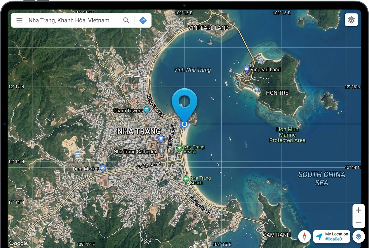 google map